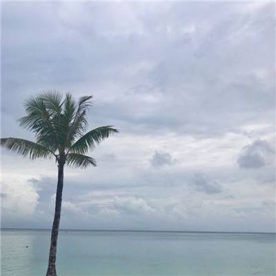 绝地兽人益玩版下载